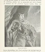 Picture 67 of 83 from Nederland en Oranje in beeld en schrift, etc (1895), leaf 733