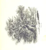 Picture 91 of 198 from Pictorial Half-hours, edited by C. K (1850), leaf 291