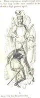 Picture 8 of 198 from Pictorial Half-hours, edited by C. K (1850), leaf 31