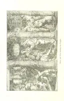 An illustration from Pictorial Half-hours, edited by C. K (1850)