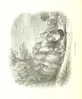 Picture 105 of 198 from Pictorial Half-hours, edited by C. K (1850), leaf 336