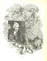 Picture 122 of 198 from Pictorial Half-hours, edited by C. K (1850), leaf 388