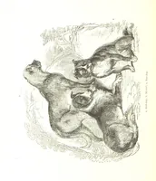 An illustration from Pictorial Half-hours, edited by C. K (1850)