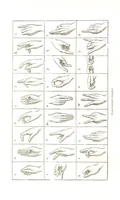 An illustration from Pictorial Half-hours, edited by C. K (1850)