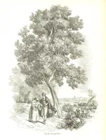 Picture 15 of 198 from Pictorial Half-hours, edited by C. K (1850), leaf 50