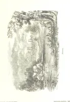 Picture 171 of 198 from Pictorial Half-hours, edited by C. K (1850), leaf 545