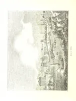 Picture 174 of 198 from Pictorial Half-hours, edited by C. K (1850), leaf 556