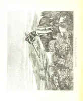 An illustration from Pictorial Half-hours, edited by C. K (1850)
