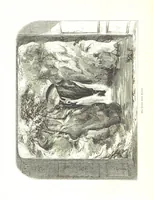 An illustration from Pictorial Half-hours, edited by C. K (1850)