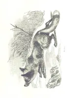 An illustration from Pictorial Half-hours, edited by C. K (1850)