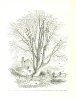 An illustration from Pictorial Half-hours, edited by C. K (1850)