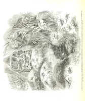 An illustration from Pictorial Half-hours, edited by C. K (1850)
