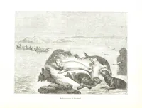 An illustration from Pictorial Half-hours, edited by C. K (1850)