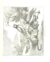 An illustration from Pictorial Half-hours, edited by C. K (1850)