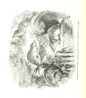 An illustration from Pictorial Half-hours, edited by C. K (1850)