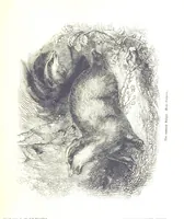 An illustration from Pictorial Half-hours, edited by C. K (1850)