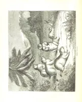 An illustration from Pictorial Half-hours, edited by C. K (1850)