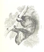 An illustration from Pictorial Half-hours, edited by C. K (1850)