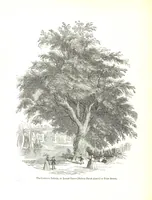 An illustration from Pictorial Half-hours, edited by C. K (1850)