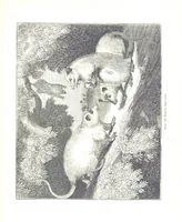An illustration from Pictorial Half-hours, edited by C. K (1850)