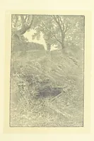 An illustration from Through the Wordsworth Country. [Illustrations] by H. Goodwin [text by] W. K. L.P (1887)