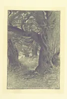 An illustration from Through the Wordsworth Country. [Illustrations] by H. Goodwin [text by] W. K. L.P (1887)