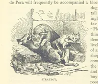An illustration from Backsheesh! or, Life and Adventures in the Orient. With descriptive and humorous sketches. ... With ... illustrations, etc (1875)