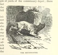 Picture 49 of 269 from Backsheesh! or, Life and Adventures in the Orient. With descriptive and humorous sketches. ... With ... illustrations, etc (1875), leaf 143