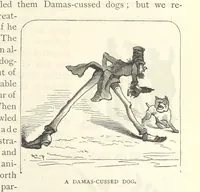 An illustration from Backsheesh! or, Life and Adventures in the Orient. With descriptive and humorous sketches. ... With ... illustrations, etc (1875)