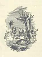 An illustration from Backsheesh! or, Life and Adventures in the Orient. With descriptive and humorous sketches. ... With ... illustrations, etc (1875)