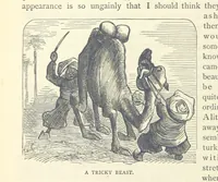 An illustration from Backsheesh! or, Life and Adventures in the Orient. With descriptive and humorous sketches. ... With ... illustrations, etc (1875)
