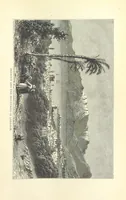 An illustration from Backsheesh! or, Life and Adventures in the Orient. With descriptive and humorous sketches. ... With ... illustrations, etc (1875)