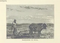 Picture 132 of 269 from Backsheesh! or, Life and Adventures in the Orient. With descriptive and humorous sketches. ... With ... illustrations, etc (1875), leaf 348