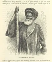Picture 134 of 269 from Backsheesh! or, Life and Adventures in the Orient. With descriptive and humorous sketches. ... With ... illustrations, etc (1875), leaf 351
