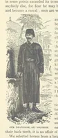 An illustration from Backsheesh! or, Life and Adventures in the Orient. With descriptive and humorous sketches. ... With ... illustrations, etc (1875)