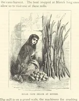 Picture 217 of 269 from Backsheesh! or, Life and Adventures in the Orient. With descriptive and humorous sketches. ... With ... illustrations, etc (1875), leaf 567