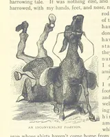 An illustration from Backsheesh! or, Life and Adventures in the Orient. With descriptive and humorous sketches. ... With ... illustrations, etc (1875)