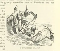 An illustration from Backsheesh! or, Life and Adventures in the Orient. With descriptive and humorous sketches. ... With ... illustrations, etc (1875)