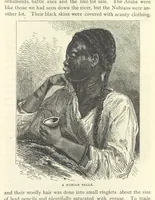 Picture 238 of 269 from Backsheesh! or, Life and Adventures in the Orient. With descriptive and humorous sketches. ... With ... illustrations, etc (1875), leaf 627