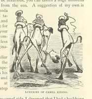 An illustration from Backsheesh! or, Life and Adventures in the Orient. With descriptive and humorous sketches. ... With ... illustrations, etc (1875)