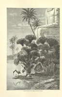 An illustration from Backsheesh! or, Life and Adventures in the Orient. With descriptive and humorous sketches. ... With ... illustrations, etc (1875)