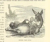 An illustration from Backsheesh! or, Life and Adventures in the Orient. With descriptive and humorous sketches. ... With ... illustrations, etc (1875)