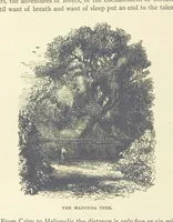 Picture 264 of 269 from Backsheesh! or, Life and Adventures in the Orient. With descriptive and humorous sketches. ... With ... illustrations, etc (1875), leaf 696