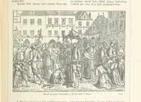 Picture 15 of 78 from Dějiny Cech a Moravy od roku 1620 do roku 1648. Col. 1372 (1891), leaf 121