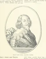 An illustration from Dějiny Cech a Moravy od roku 1620 do roku 1648. Col. 1372 (1891)