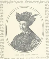 An illustration from Dějiny Cech a Moravy od roku 1620 do roku 1648. Col. 1372 (1891)