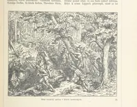 An illustration from Dějiny Cech a Moravy od roku 1620 do roku 1648. Col. 1372 (1891)