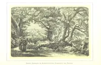 An illustration from Rom und seine Umgebung in Holzschnitten, nach Skizzen ... von C. Zimmermann mit erläuterndem Texte von Prof. Dr Kühne (1870)