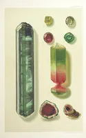 An illustration from Gems and Precious Stones of North America. A popular description of their occurrence, value, history, archæology, and of the collections in which they exist, also a chapter on pearls and on remarkable foreign gems owned in the United States. Illustrated, etc (1890)