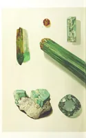 An illustration from Gems and Precious Stones of North America. A popular description of their occurrence, value, history, archæology, and of the collections in which they exist, also a chapter on pearls and on remarkable foreign gems owned in the United States. Illustrated, etc (1890)